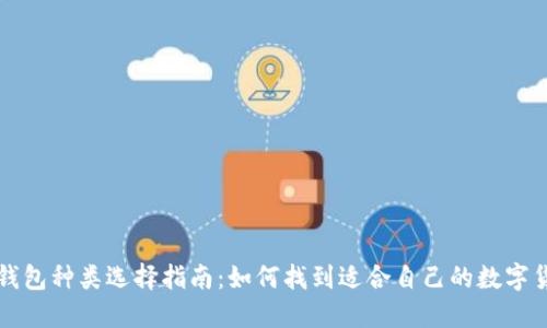 区块链钱包种类选择指南:如何找到适合自己的数字货币钱包