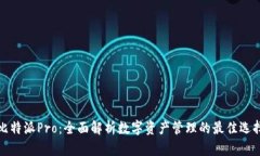 比特派Pro：全面解析数字资产管理的最